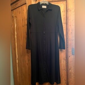 Everlane Elegant Black Long Sleeve Dress…Like New